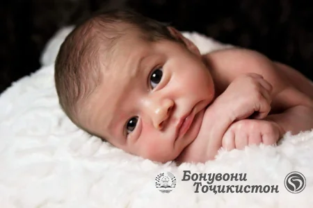 Далелҳои ҷолиб дар бораи навзодон