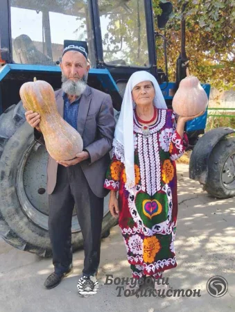 Фарзандони чолобкамар