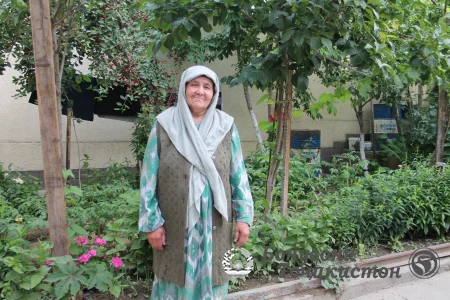 Бо номаи камол