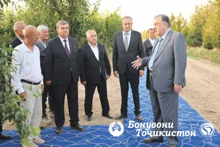 Ваҳдати миллӣ пояи устувории давлат
