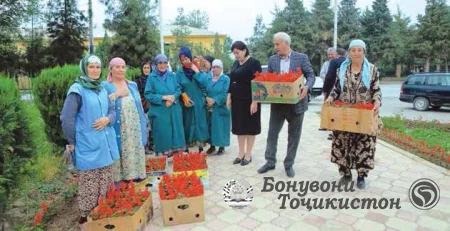 Левакант – шаҳри сабзе дар канори обҳои зулол