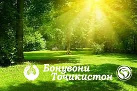 Болида намудани табъ