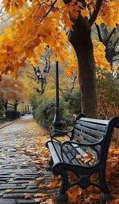 Болидагии рӯҳро дар фасли тирамоҳ таъмин месозем  