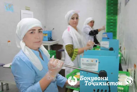 ФАРХОР: Аз коргоҳи маҳсулоти ширӣ то дӯзандагӣ