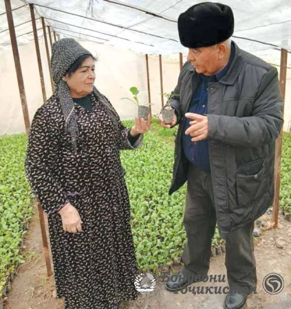 Ҳам кишоварз, ҳам омӯзгор